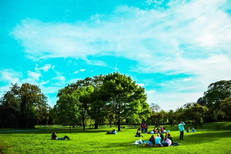 A bright and sunny day in a London park, featuring people relaxing and sitting on the grass under scattered trees. The sky is clear with visible contrails, and the park is lush with green foliage, providing a peaceful atmosphere.