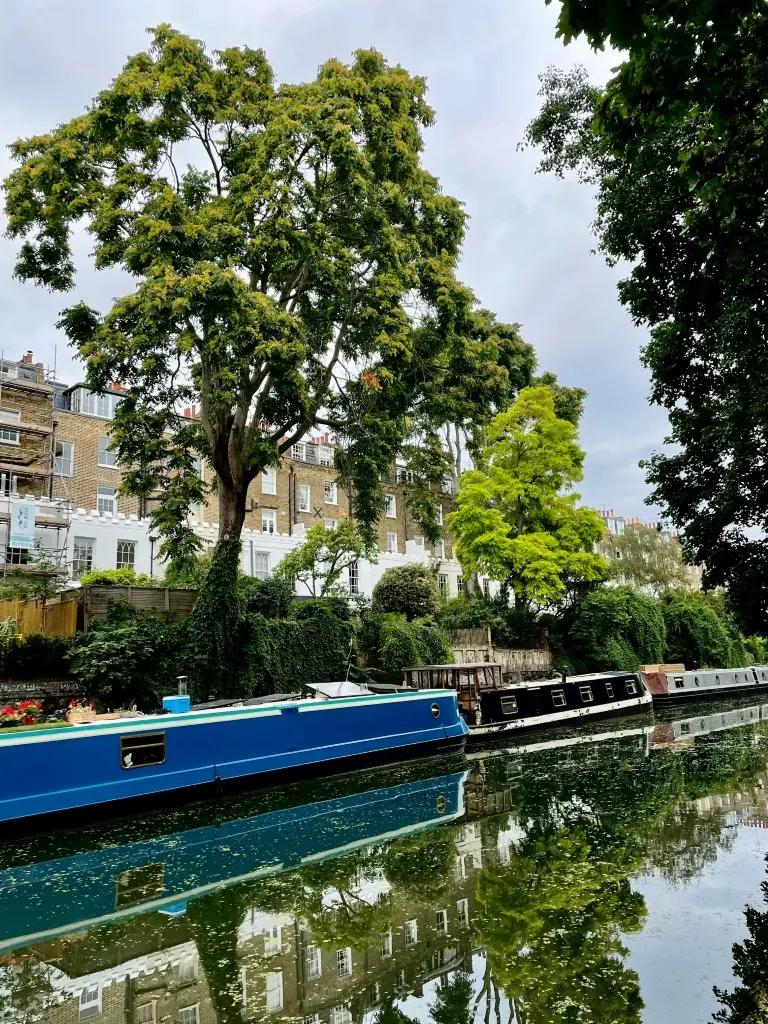 A peaceful scene on Regent's Canal featuring narrowboats moored along the water, with reflections of lush green trees and residential buildings in the calm water.